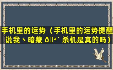 手机里的运势（手机里的运势提醒说我丶暗藏 🪴 杀机是真的吗）